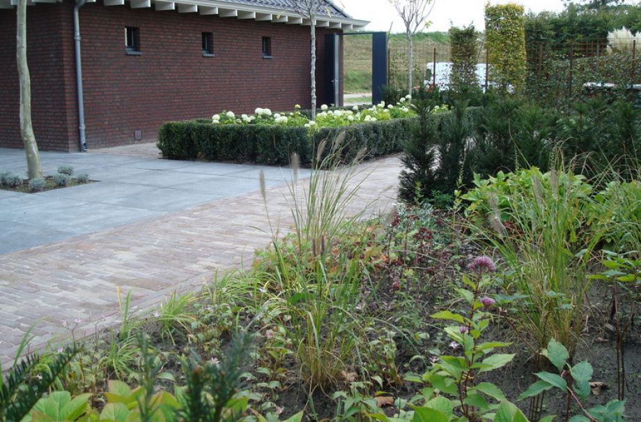 Van den Maagdenberg - Bavel